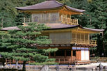 Kyoto Day Tour - Golden Pavilion, Nijo Castle, Sanjusangendo, Kiyomizu Temple
