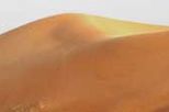 Private Al Ain City Sightseeing Tour - The Garden City
