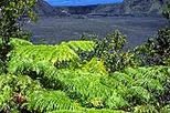 Big Island Hawaii Volcano Adventure
