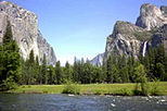 Yosemite and Giant Sequoias Minivan Tour
