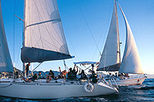 Day Sailing on Banderas Bay
