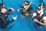 Learn to Dive - Beginner Resort Scuba Course
