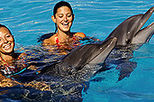 Nuevo Vallarta Signature Dolphin Swim
