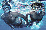 Wild Dolphins and Snorkeling Day Tour from Puerto Vallarta
