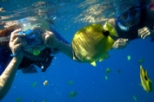 Hanauma Bay Snorkeling Adventure Tour
