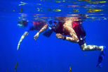 Hawaii Duck Tour and Hanauma Bay Snorkeling
