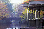 The Dublin City Walking Tour
