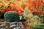 Victoria Fly n Dine at Butchart Gardens
