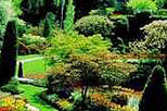 Butchart Gardens Tour from Victoria
