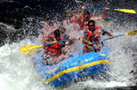 American River Rafting and San Francisco Wine Tour

