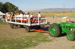 Hay Wagon Rides
