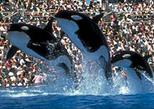Sea World of California with Transport

