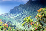 Hidden Valley Falls Kayak and Kauai Hike Adventure

