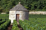 Wine Tasting - Cote de Nuits Region with Two Cellar Visits
