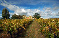 Two Day Private Coonawarra Wine Region (Limestone Coast) Tour