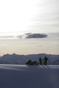 Blackcomb Mountain Safari