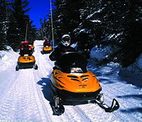 Fitzsimmons Creek Snowmobile Tour