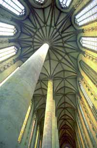 Toulouse City Minibus Tour