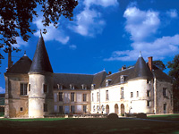 A Day in the Champagne Region by Minivan