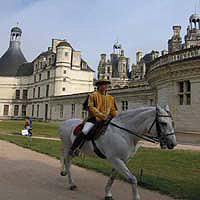Castles and Wines of the Loire by Minivan