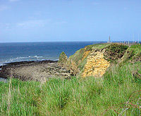 D-Day Tour: Normandy Battlefields and Landing Beaches by Minivan