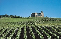 Day in the Champagne Region by Minivan