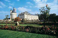 Full Day Tour of the Loire Castles