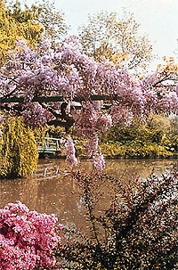 Giverny and Monet's Home