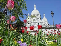 Paris by Minivan - City Tour, Seine River Cruise, Lunch at the Eiffel Tower