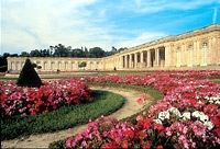 Versailles and Optional Fountain Show - Walking Tour