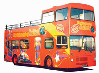 City Sightseeing Hop On Hop Off Tour of Belfast