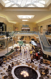 Man of Style Package: International Plaza, Tampa