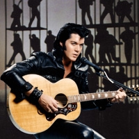 Las Vegas Elvis Wedding: Loving You