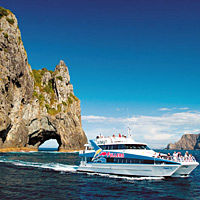 Cape Brett 
