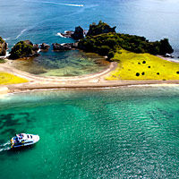 Overnight Taste of the Bay of Islands Tour departs Auckland