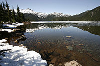 Whistler Scenic Adventure Tour