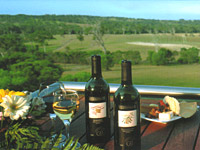 Brisbane City and Country Tour from Gold Coast
