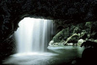 Glow Worm Cave and Natural Bridge Tour from Gold Coast