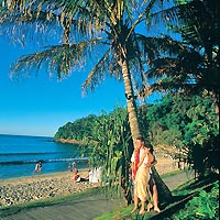 Sunshine Coast and Noosa Tour from Brisbane