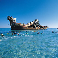 Tangalooma Day Cruise Tour from Brisbane