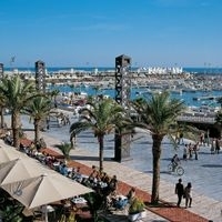 Spain Barcelona - Barcelona Morning Sightseeing Tour tours