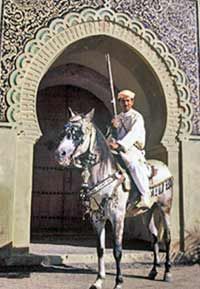 Four Day Morocco Tour - Rabat, Meknes and Fez