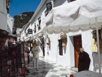Morning Sightseeing Tour to Mijas