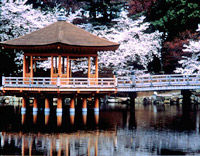 Kyoto and Nara Day Tour (From Osaka) - Golden Pavilion, Todaiji
