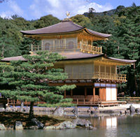 Kyoto Day Tour - Golden Pavilion, Nijo Castle, Sanjusangendo, Kiyomizu Temple