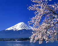 Mt Fuji and Hakone Day Tour from Tokyo: Return By Motorcoach
