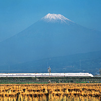 Mt Fuji and Hakone Day Tour (Return by Bullet Train)