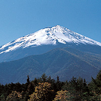 Mt Fuji, Hakone and Onsen (Return by Bullet Train)