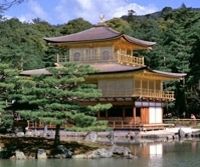 Mt Fuji, Hakone, Kyoto and Nara 3-Day Sunrise Highlights Tour by Bullet Train from Tokyo