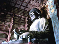 Nara Afternoon Tour (From Osaka) - Todaiji, Deer Park, Kasuga Shrine